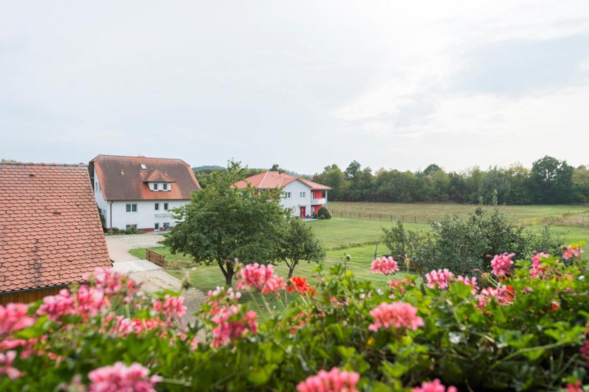 Gasthaus-Pension Hofmann Oberdachstetten Zewnętrze zdjęcie